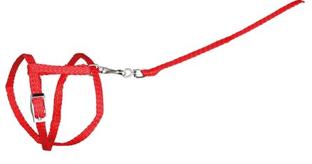 Konijnentuig met riem rood