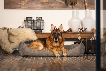 Beeztees Zia hondenmand 120x80 cm &ndash; orthopedische memory foam hondenmand voor grote honden