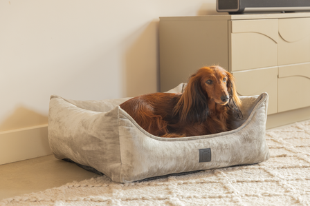 Designed by Lotte Soft Essence orthopedische hondenmand licht grijs small