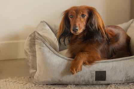 Designed by Lotte Soft Essence orthopedische hondenmand licht grijs sfeer foto