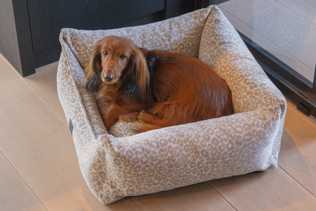 Designed by Lotte Wild Essence Orthopedische Hondenmand Beige