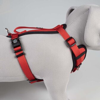 Duvo Plus Y Hondentuig  &ndash; 4 Kleuren &amp; 5 Maten