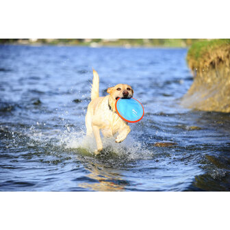 Chuckit Paraflight drijft op water tijdens apporteerspel hond