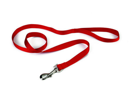 Nylon hondenriem rood