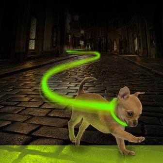 Groene Led hondenhalsband