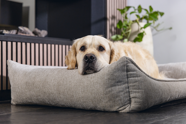 Beeztees Zia hondenmand 120x80 cm &ndash; orthopedische memory foam hondenmand grote honden