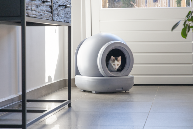 Beeztees Moeza Automatische Kattenbak grijs sfeer foto