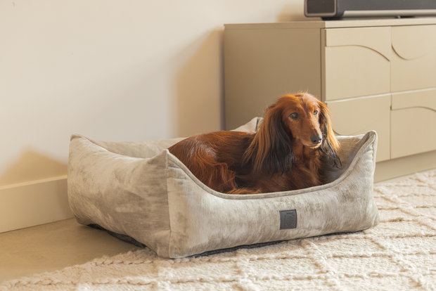 Designed by Lotte Soft Essence orthopedische hondenmand licht grijs small