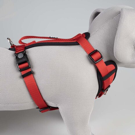 Duvo Plus Y Hondentuig  &ndash; 4 Kleuren & 5 Maten