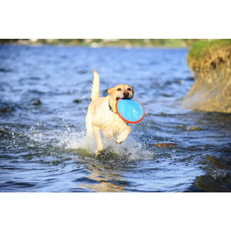Chuckit Paraflight drijft op water tijdens apporteerspel hond