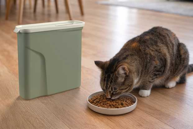 Curver voedselcontainer Misty Green bewaarton voor hondenvoer en kattenvoer met handvat 2 liter sfeer foto