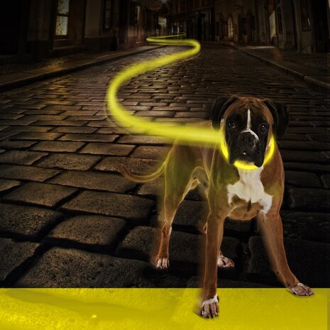 Seecurity led halsband usb geel