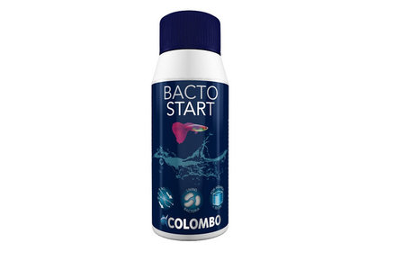 Colombo Bacto Start 100ml aquarium