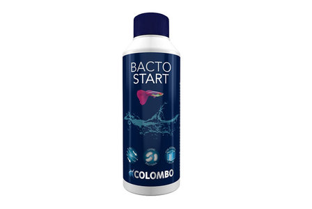 Colombo Bacto Start 250ml aquarium