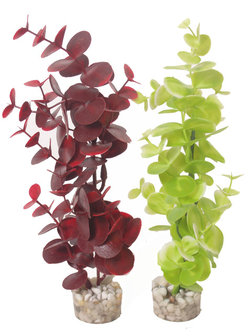 Sydeco kunststof aquarium plant ecalyptus