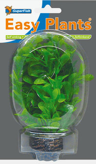 SuperFish Easy aquariumplanten voorgrond 8 det.2