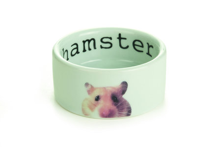 Beeztees Stenen Hamstervoerbak Snapshot