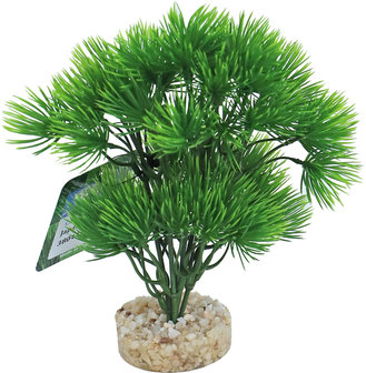 Sydeco Aquarium planten Japan Tree 16cm