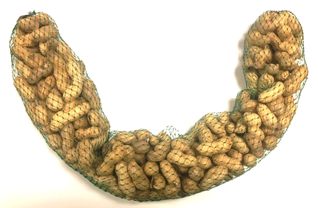 Ongebrande doppinda&rsquo;s voor buitenvogels aan pindaslinger van 60 cm, ca. 400 g