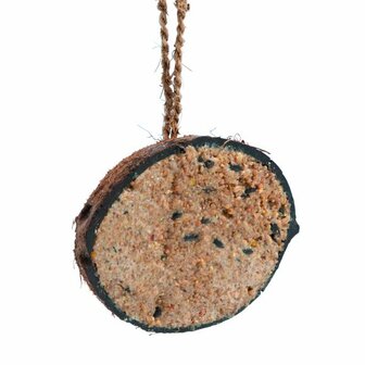 Kokosnoot met zaden en vet buitenvogels