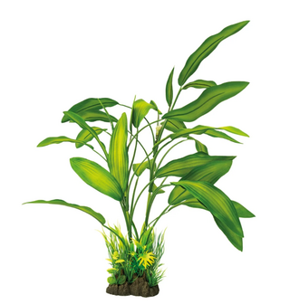 SuperFish Deco Plant 40 cm crypotocoryne