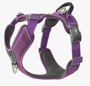 Dog Copenhagen Walk Pro purpel passion 3.0 det.1