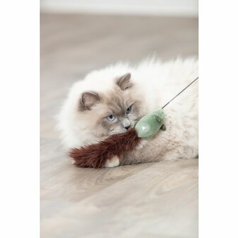 Kattenhengel met muis det.2