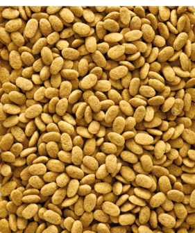 Voedzame pellets voor grijze roodstaart en amazonepapegaaien