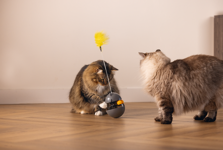 Beeztees Kattenspeelgoed Interactief Wibol det.2