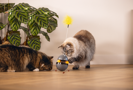 Beeztees Kattenspeelgoed Interactief Wibol det.3