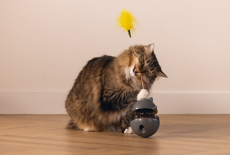 Beeztees Kattenspeelgoed Interactief Wibol det.4