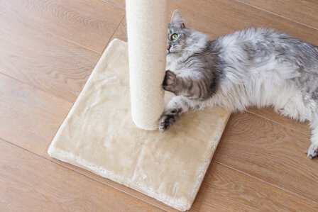 Beeztees krabpaal Gina XL 90 cm beige det.8