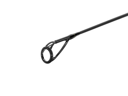 Grote SIC topoog van de Amulet Carp hengel