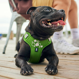 Hurtta Weekend Warrior eco 2 hedge Hondentuig 75-100cm