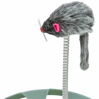 Kat speelt met Trixie Crazy Circle met speelbal en speelmuis op veer, diameter 24 cm