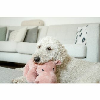 Hond speelt met Trixie pluche nijlpaard speelgoed