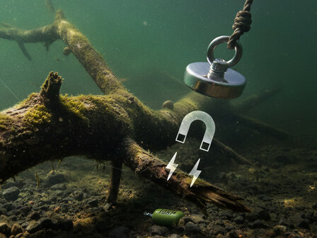 Delphin EcoCAST Loodvrij Visgewicht van Staal