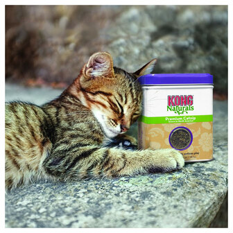 KONG Catnip strooien op speeltjes en krabpalen voor katten
