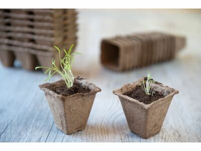 Nature afbreekbare kweekpotjes 8x8x8 cm van houtvezel voor zaaien en stekken &ndash; 14 stuks