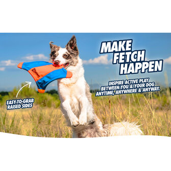 Hond vangt Chuckit Flying Squirrel frisbee in de lucht