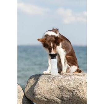 Trixie waterfles hond 550ml met drinkbak