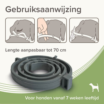 Een verpakking van de Beaphar Medicinale halsband van 70 cm voor honden vanaf 8 kg tegen vlooien, teken en zandvliegen.