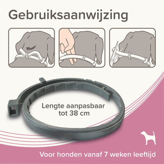Een verpakking van de Beaphar Medicinale halsband van 38 cm voor kleine honden tot 8 kg tegen vlooien, teken en zandvliegen.
