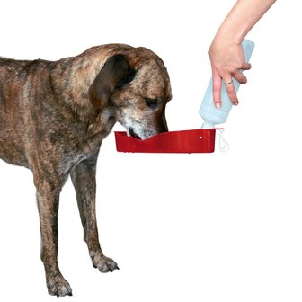 hond drinkt uit travel fles