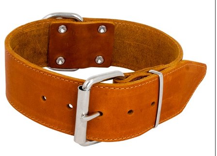 Jack en vanilla halsband cognac breed