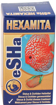 Hexamita