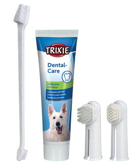 Dental Care honden tandpasta tandenborstel set