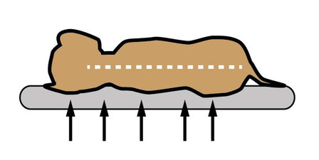 Orthopedische hondenkussen