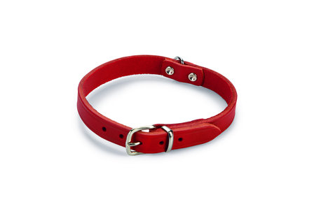 Beeztees halsband rood