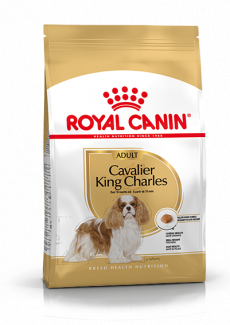 Royal Canin Cavalier King Charles